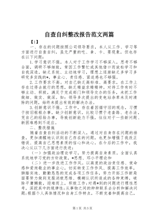 自查自纠整改报告范文两篇