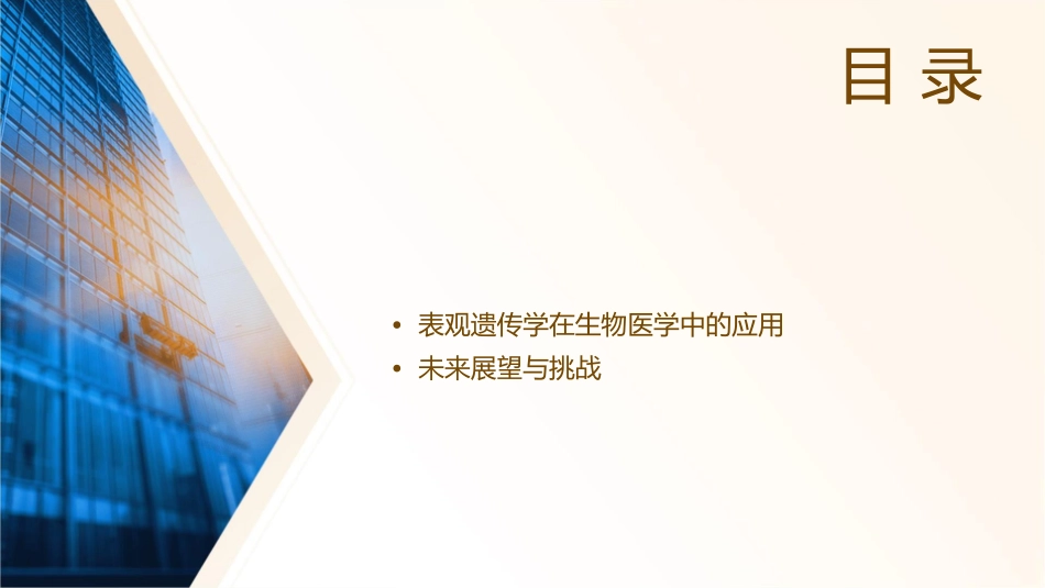 表观遗传学染色质结构的分子水平研究00课件_第2页