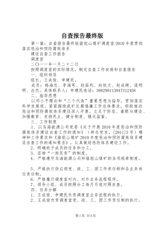 自查报告最终版