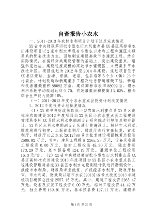 自查报告小农水