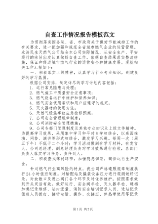 自查工作情况报告模板范文