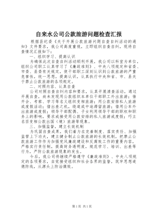 自来水公司公款旅游问题检查汇报