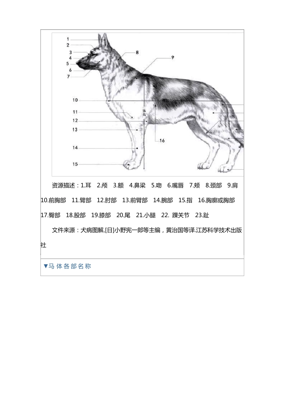 动物体表各部位名称,范围_第3页