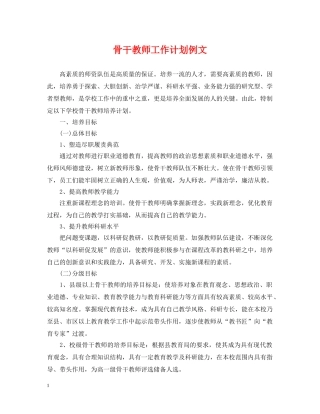 骨干教师工作计划例文 