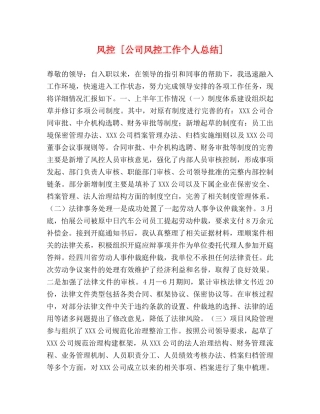 风控 [公司风控工作个人总结] 