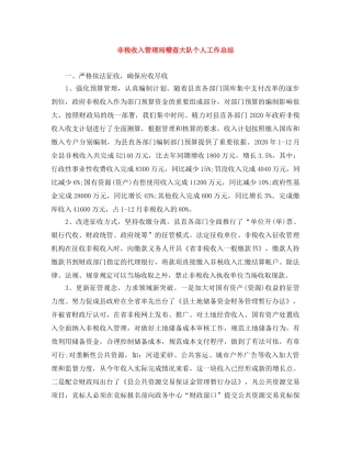 非税收入管理局稽查大队个人工作总结 