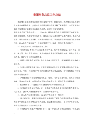 集团财务总监工作总结 