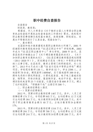 职中经费自查报告