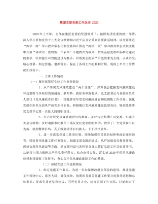 集团支部党建工作总结 2020 