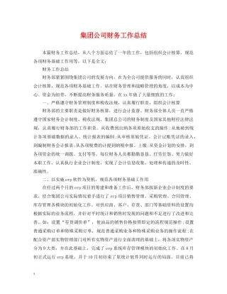 集团公司财务工作总结 