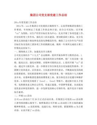 集团公司党支部党建工作总结 