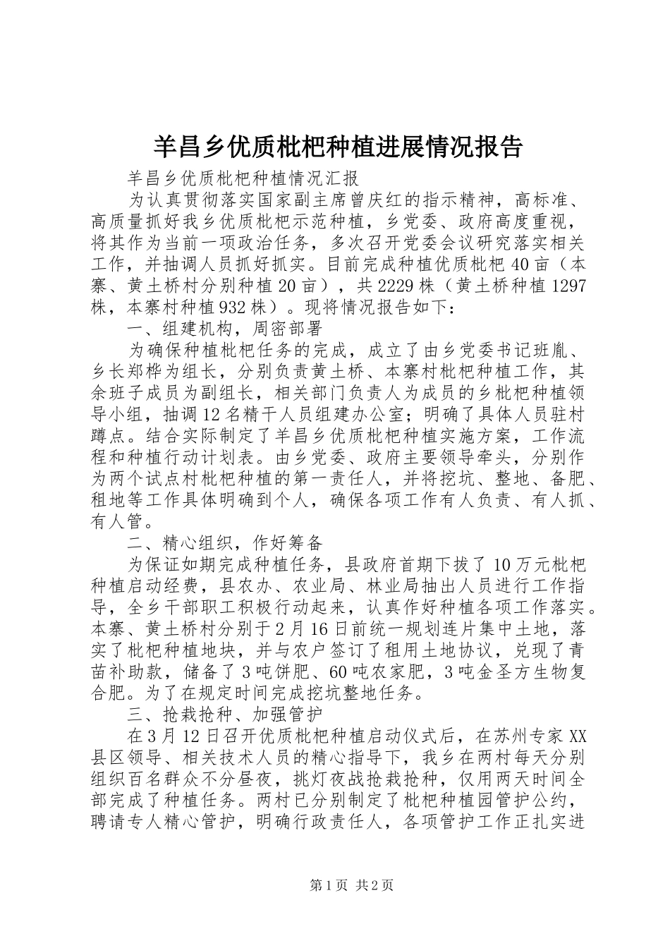 羊昌乡优质枇杷种植进展情况报告_第1页