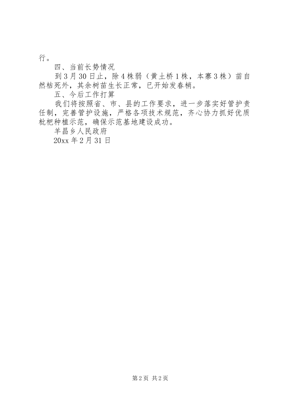 羊昌乡优质枇杷种植进展情况报告_第2页