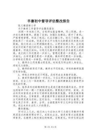 羊寨初中督导评估整改报告