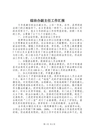 综治办副主任工作汇报