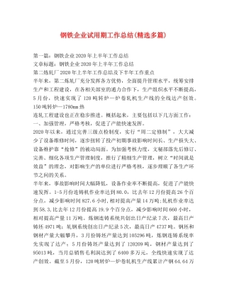 钢铁企业试用期工作总结(精选多篇) 