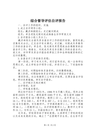 综合督导评估自评报告