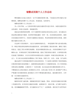 辅警试用期个人工作总结 