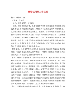辅警试用期工作总结 