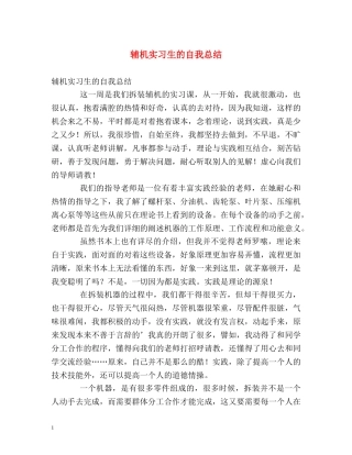 辅机实习生的自我总结 