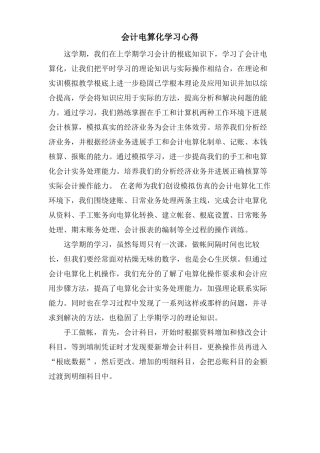 会计电算化学习心得
