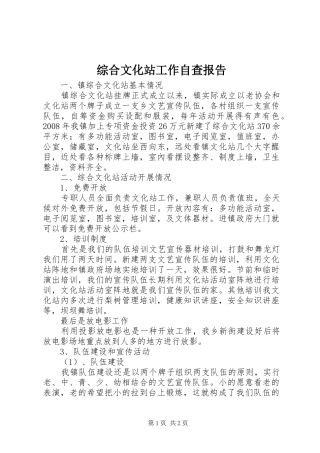 综合文化站工作自查报告