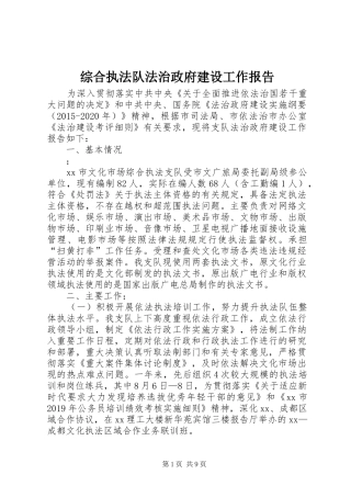 综合执法队法治政府建设工作报告