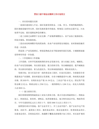 贯实三级干部会议精神工作计划范文 