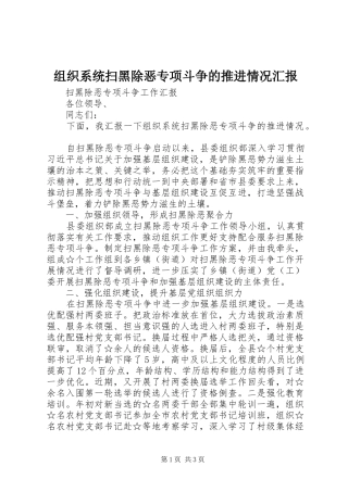 组织系统扫黑除恶专项斗争的推进情况汇报