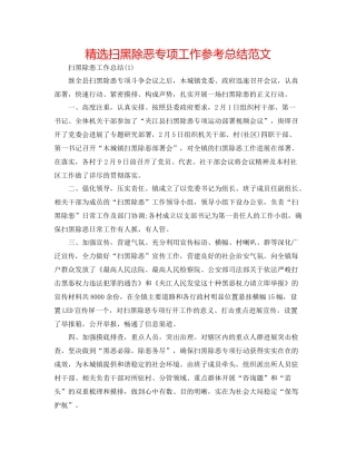 精选扫黑除恶专项工作参考总结范文