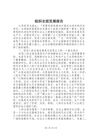 组织全面发展报告