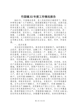 竹园镇XX年度工作情况报告