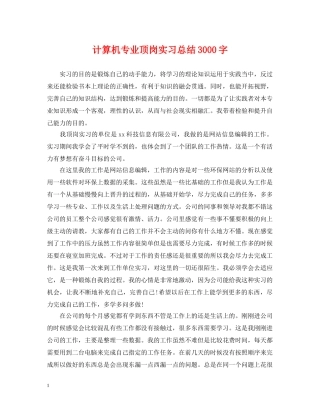 计算机专业顶岗实习总结3000字 