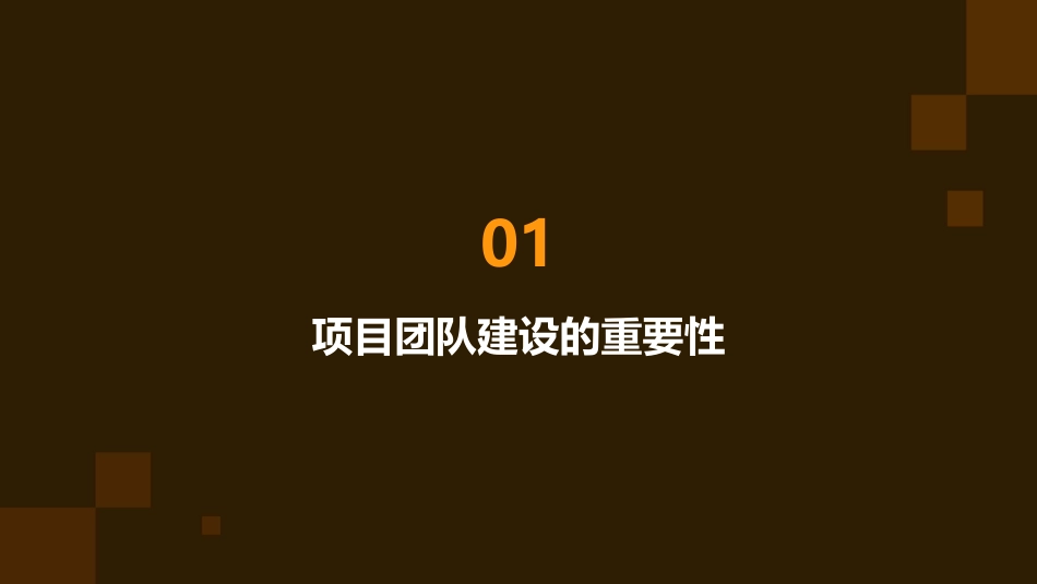 项目团队建设概要课件_第3页