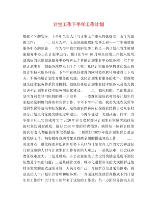 计生工作下半年工作计划 (2) 