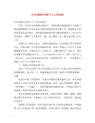 计生局统计年终个人工作总结 