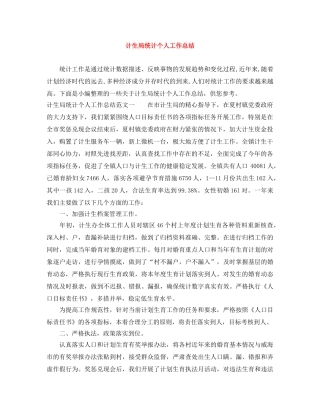 计生局统计个人工作总结 