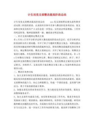 计生局党支部整改提高阶段总结 