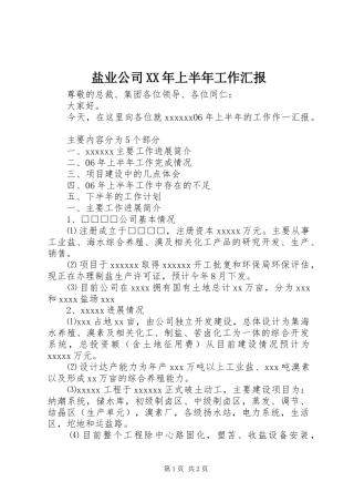 盐业公司XX年上半年工作汇报