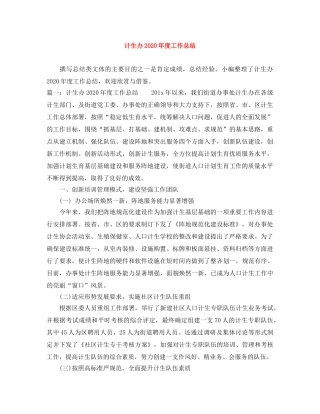 计生办2020年度工作总结 