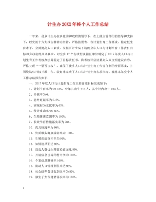 计生办20XX年终个人工作总结 