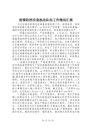 疫情防控应急执法队伍工作情况汇报