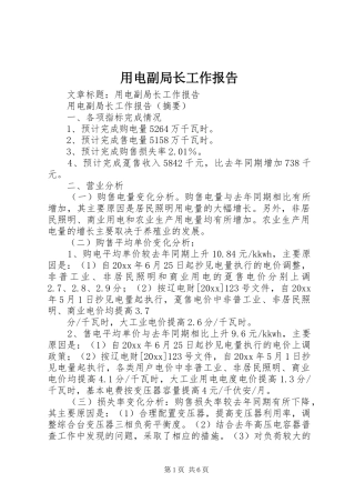用电副局长工作报告