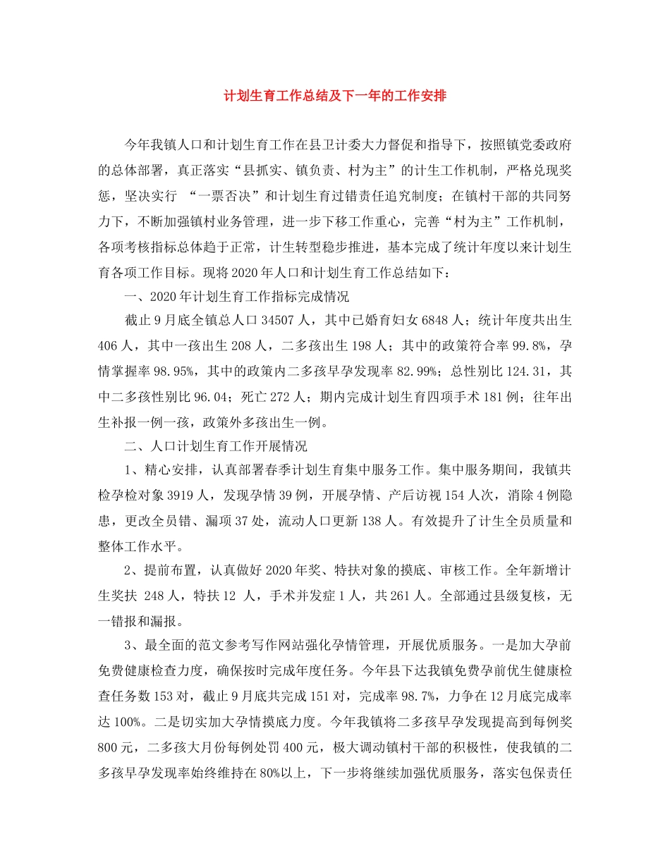 计划生育工作总结及下一年的工作安排 _第1页