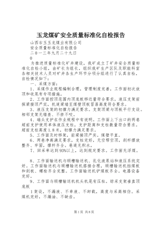 玉龙煤矿安全质量标准化自检报告