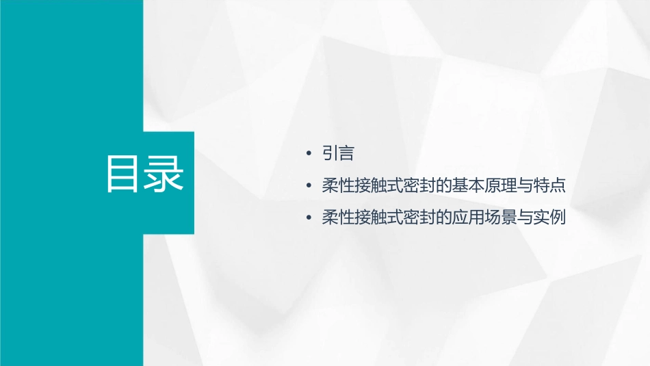柔性接触式密封演示文稿课件_第2页