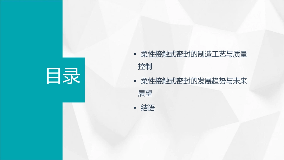 柔性接触式密封演示文稿课件_第3页