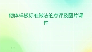 砌体样板标准做法的点评及图片课件