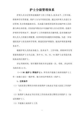 护士分级管理体系