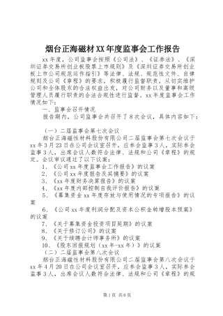 烟台正海磁材XX年度监事会工作报告